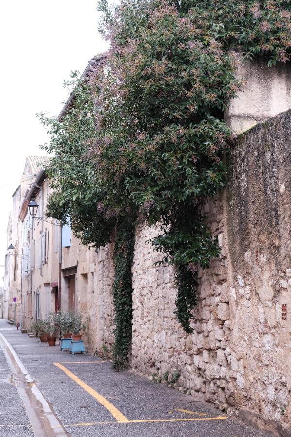 Gite Le Petit Ecolier Lectoure Esterno foto